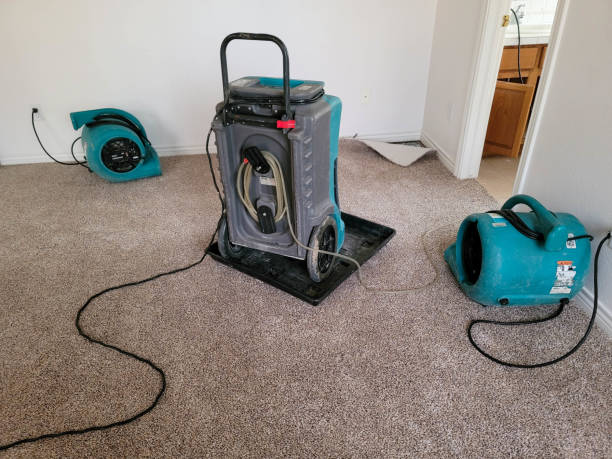Best Flood damage cleanup  in Sardinia, OH