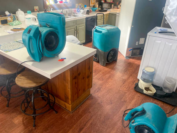 Best Water damage restoration near me  in Sardinia, OH