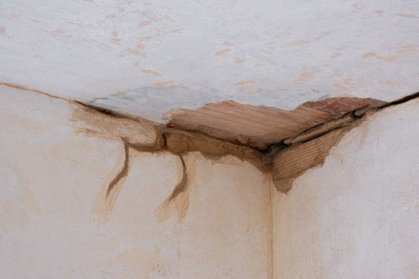 Best 24-hour water damage restoration  in Sardinia, OH