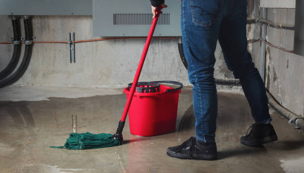 Best Professional water damage repair  in Sardinia, OH