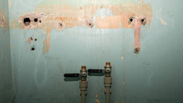 Best Emergency water damage restoration  in Sardinia, OH