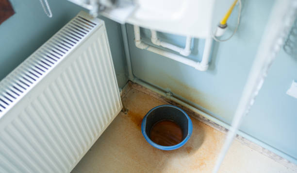 Best Water damage cleanup near me  in Sardinia, OH