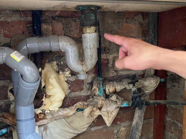 Best 24/7 water damage repair  in Sardinia, OH