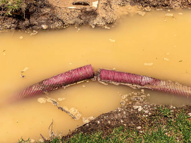 Best Emergency water damage restoration  in Sardinia, OH
