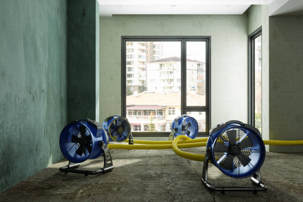 Best Fire Damage Restoration  in Sardinia, OH